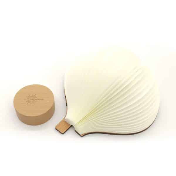 Raynordic BALLOON - Farvet Lys